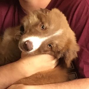 Meet your Posher, Ceara